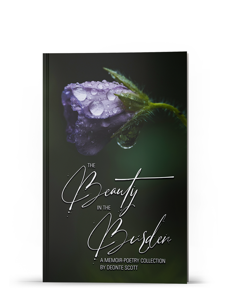 Book Cover The Beauty in the Burden